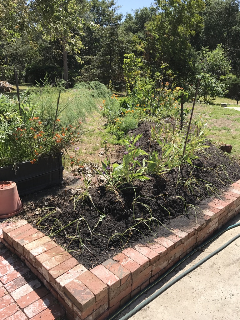 Newly Planted Bed